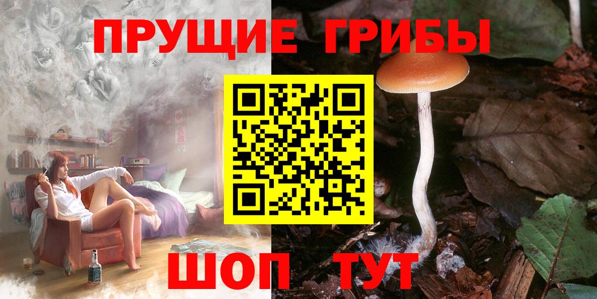 Псилоцибиновые грибы ЛСД Алейск